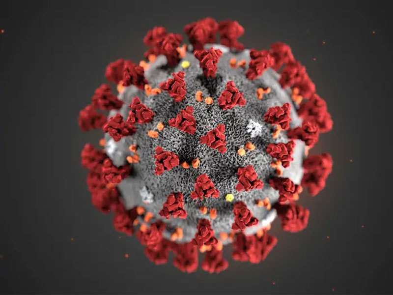 Mổ xẻ mã gien của virus Vũ Hán, tiềm tàng tìm ra cách trị
