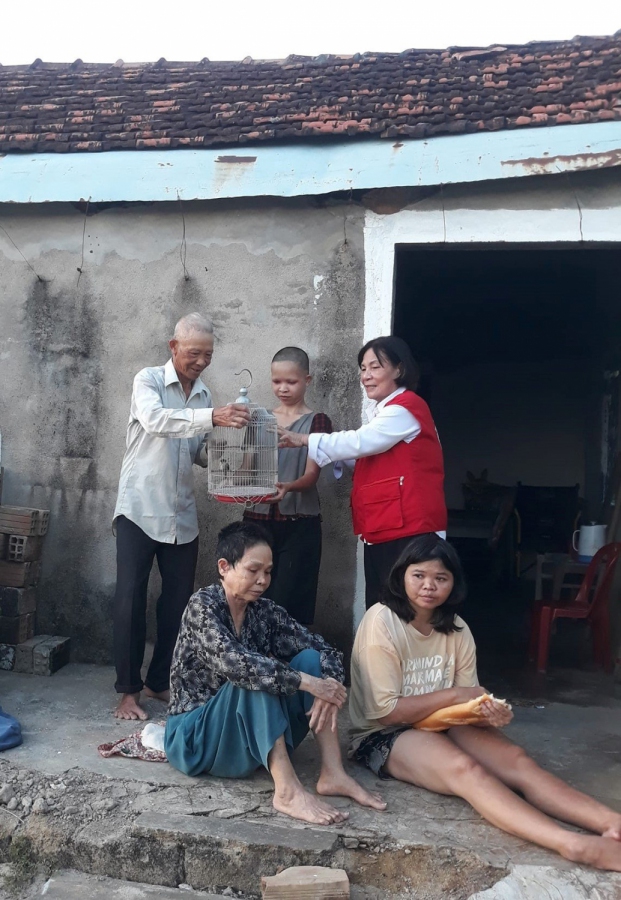 Tặng bò cho hộ dân có hoàn cảnh khó khăn