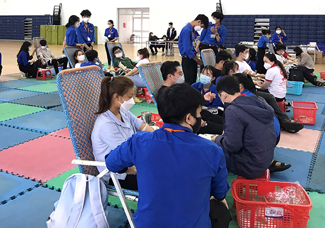 ĐVTN Trường đại học Quy Nhơn tham gia HMTN