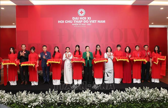 vna potal khai mac trien lam “he sinh thai nhan dao” chao mung dai hoi dai bieu toan quoc hoi chu thap do viet nam lan thu xi stand