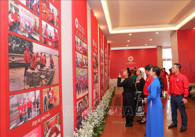 vna potal khai mac trien lam “he sinh thai nhan dao” stand (3)
