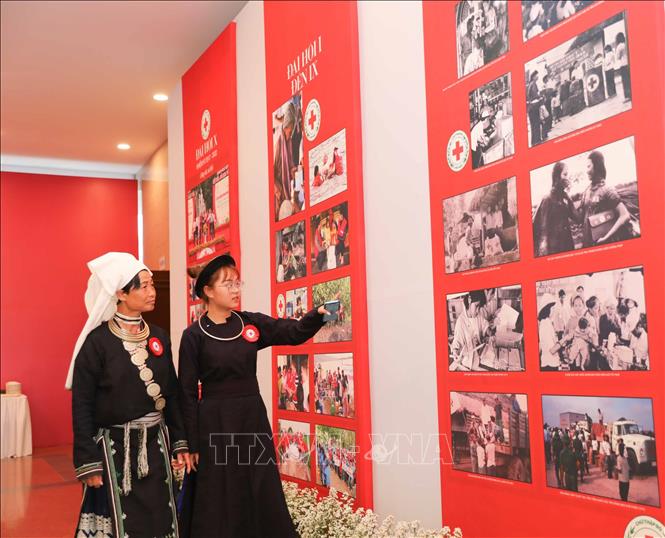 vna potal khai mac trien lam “he sinh thai nhan dao” stand (4)