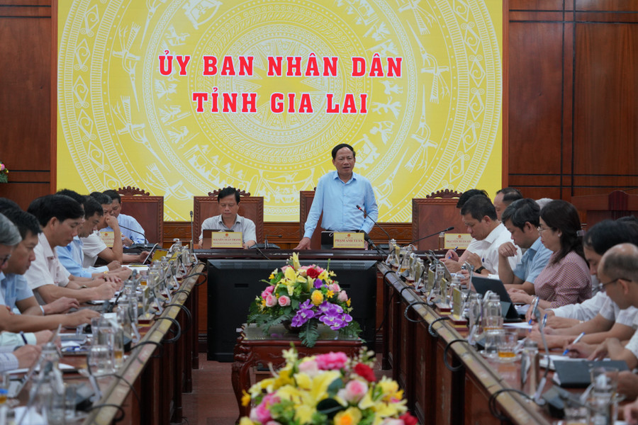 Chủ tịch UBND tỉnh Phạm Anh Tuấn phát biểu kết luận hội nghị.