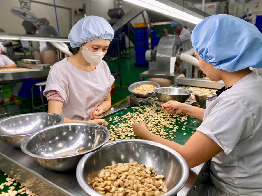 Gia Lai thu hút 144 dự án đầu tư trong 9 tháng đầu năm 2025